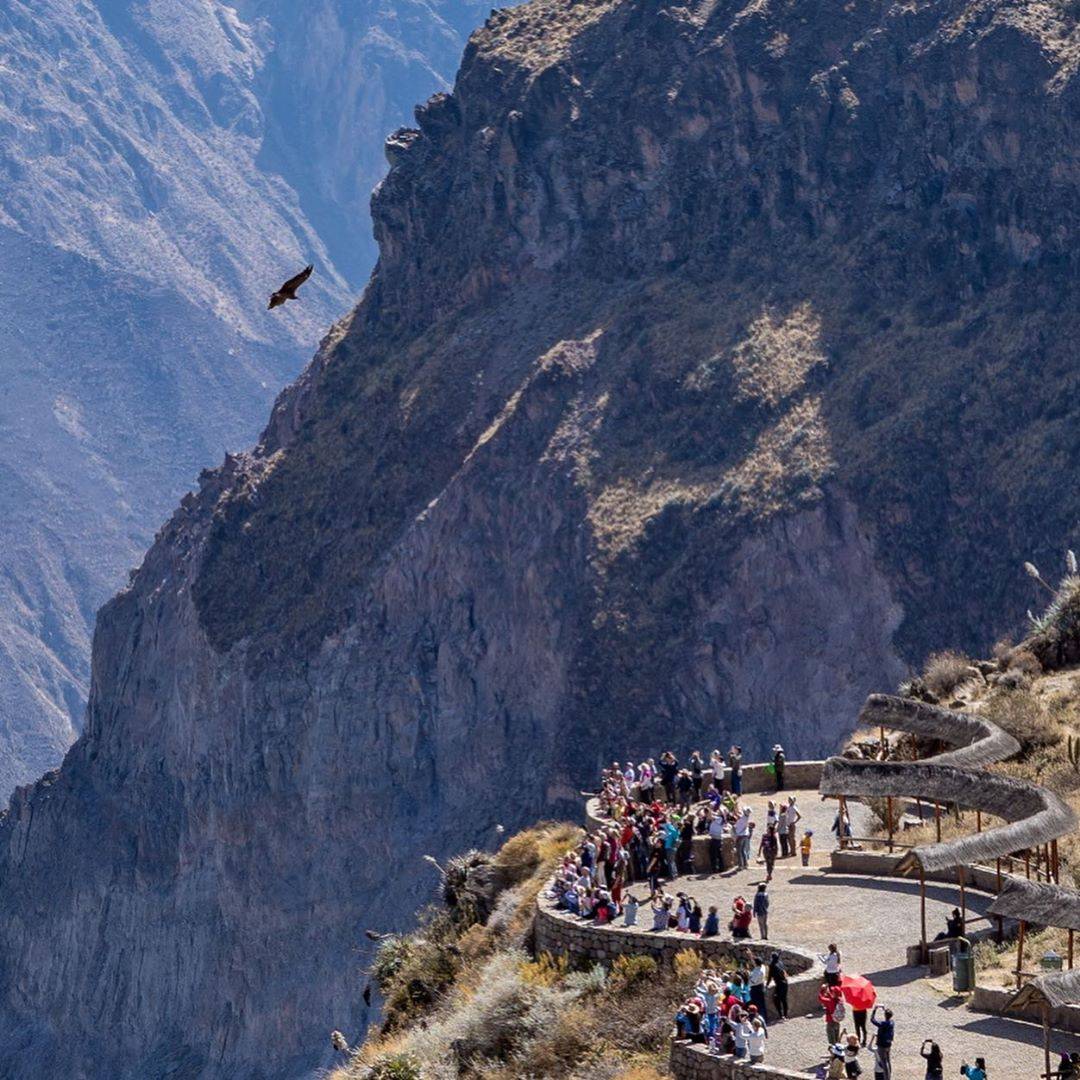 Excursion Cañon del Colca 2 días