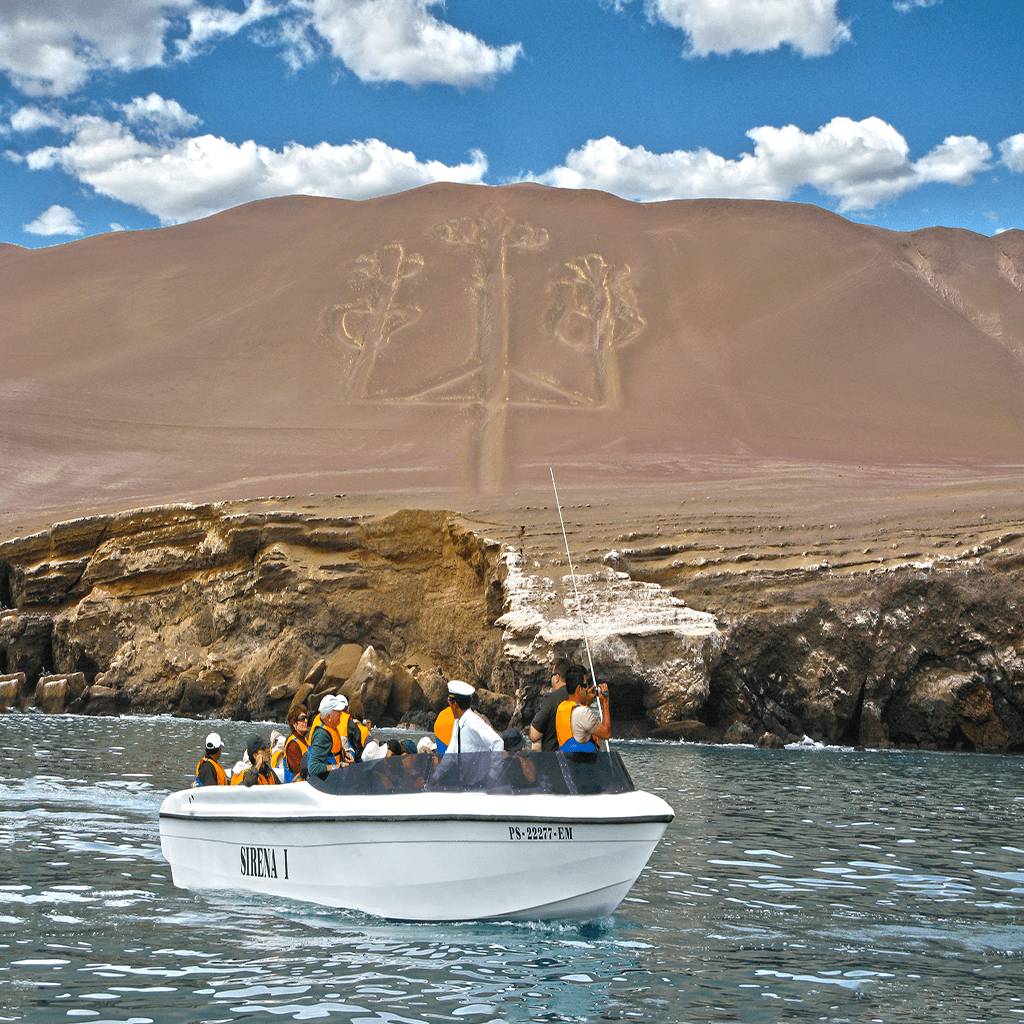 Excursión Islas Ballestas y Paracas 2 horas